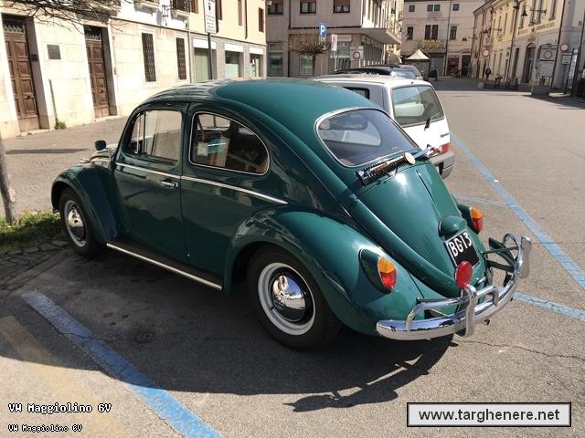 maggiolinosebaraba20190327.jpg