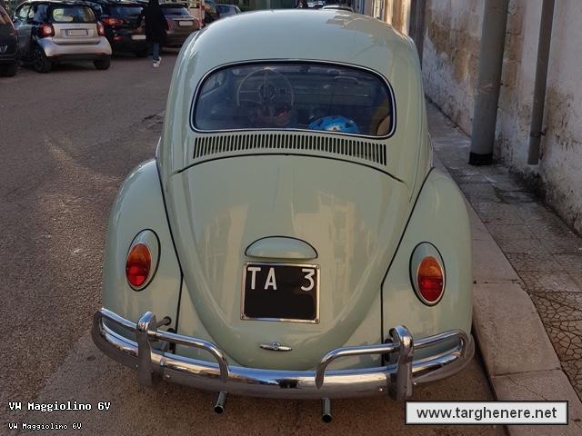 maggiolinodariomontrone20190420.jpg