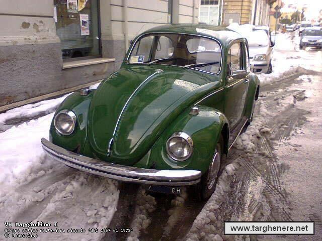 maggiolinofrabo20190430.jpg