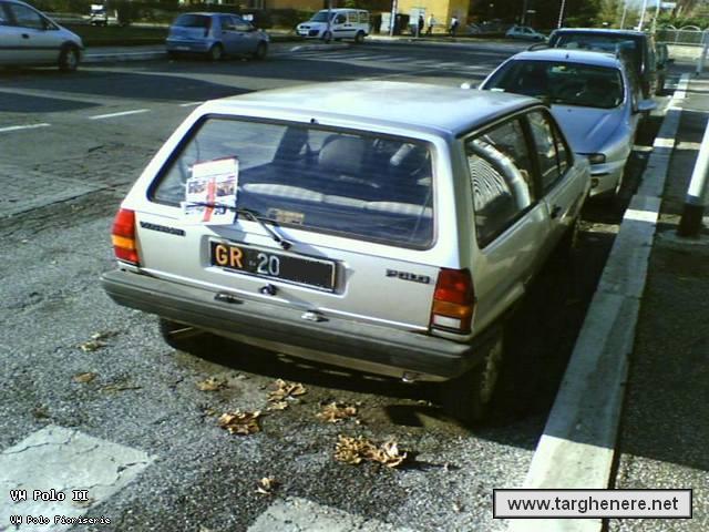 polofioribue84.jpg