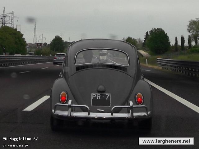 maggiolinoneim20190515.jpg