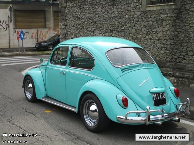 maggiolinoata20190612.jpg