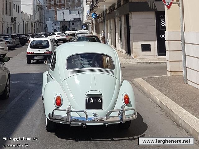 maggiolinodariomontrone20190818.jpg