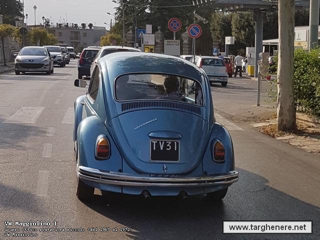 maggiolinodariomontrone20190910.jpg