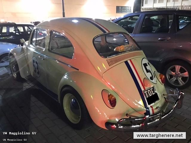 maggiolinonathan20190919.jpg