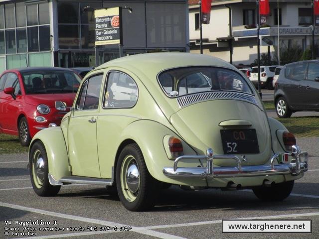 maggiolinoata20191001.jpg
