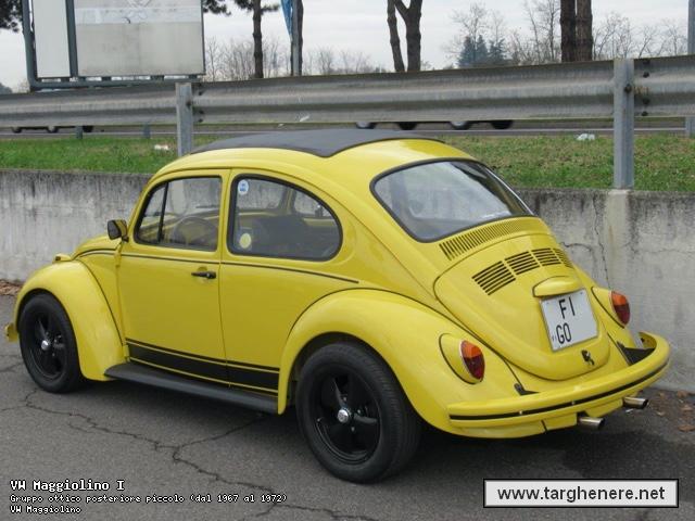 maggiolinoata20191225.jpg