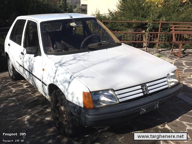peugeot205frabo20200306.jpg