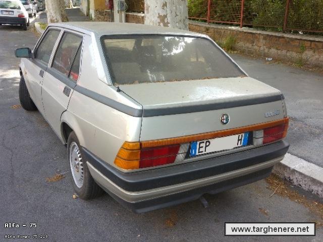 alfa75bue20200510.jpg
