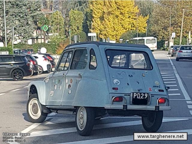 citroendyanebeagin20200530.jpg