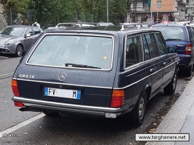 mercedes_w123swbiohazard20200610.jpg