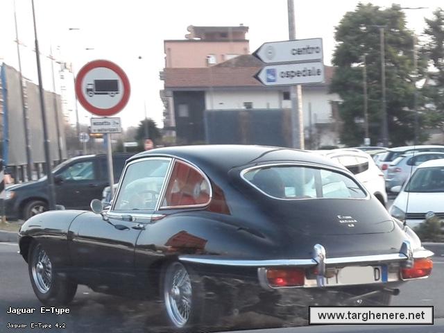 jaguaretypeneim20200704.jpg