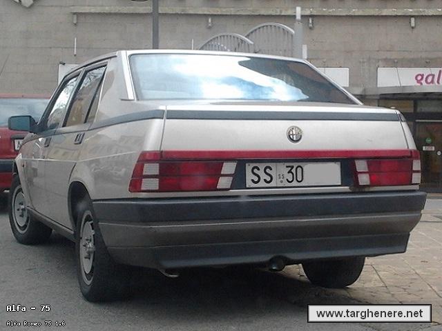 alfa75total20200806.jpg