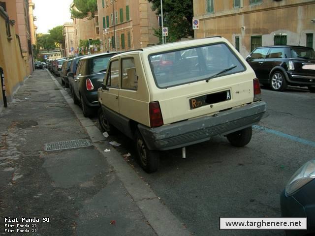 panda81bio.jpg