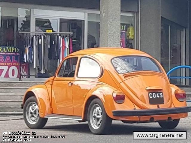 maggiolinoata20200830.jpg