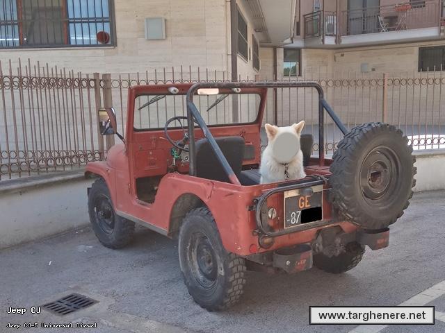 jeepcj51600gt20200929.jpg