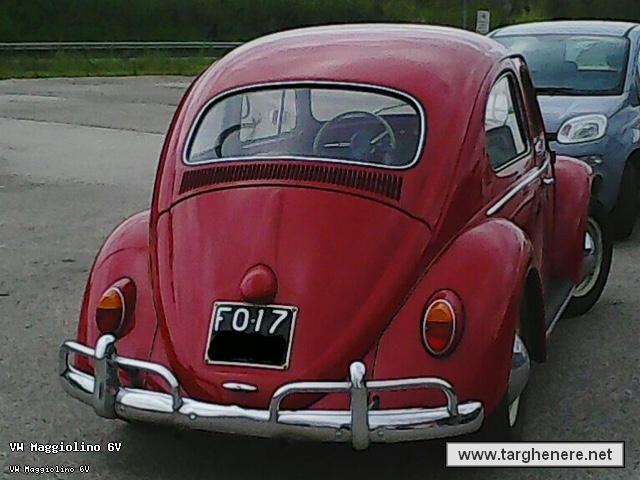 maggiolinocaptain20201010.jpg