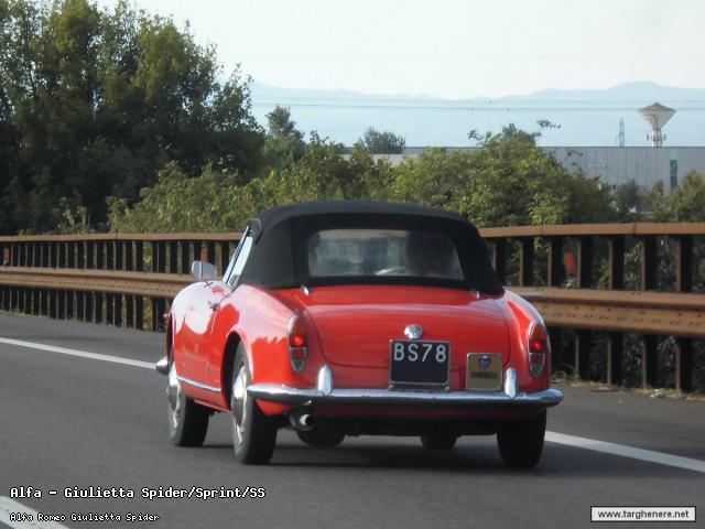 giuliettaspidermarlon20201025.jpg