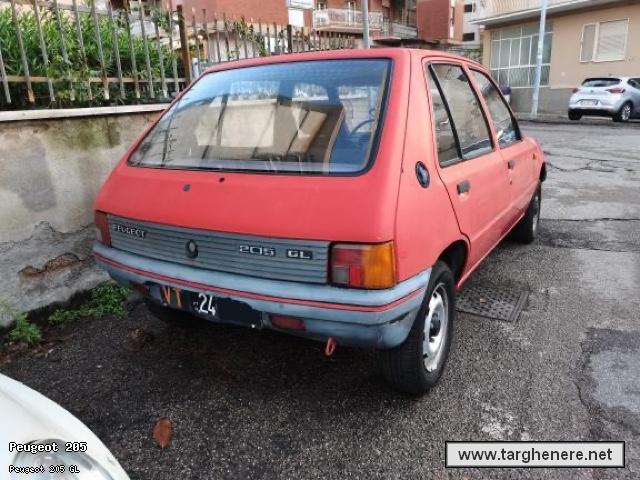 peugeot205dariomontrone20201106.jpg