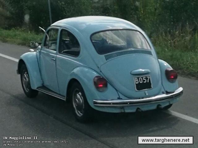 maggiolinofrabo20201108.jpg