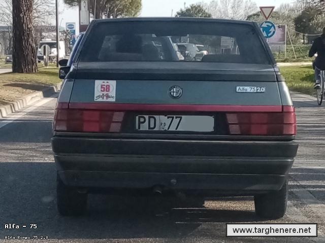 alfa75sampei20210325.jpg