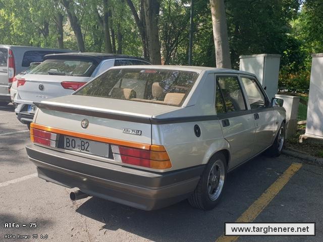 alfa75luka9620210512.jpg