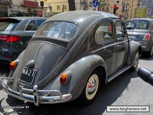 maggiolinodariomontrone20210601.jpg