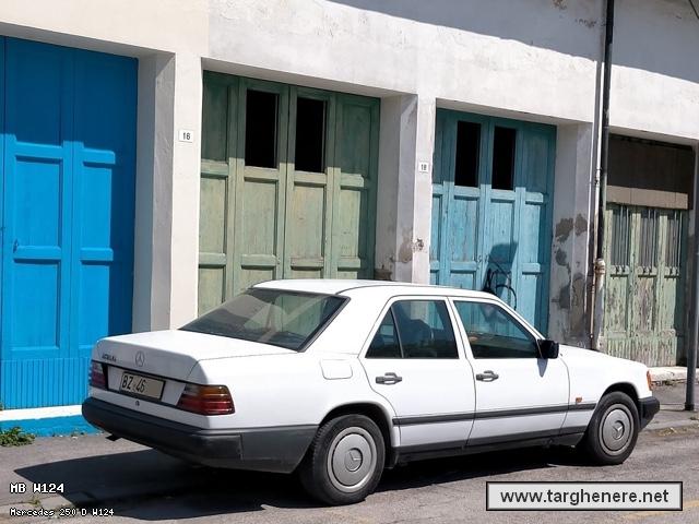 mercedesw124polar20210613.jpg