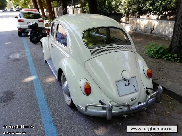 maggiolinobue20210615.jpg