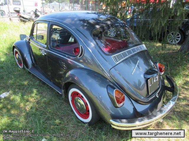 maggiolinoata20210719.jpg