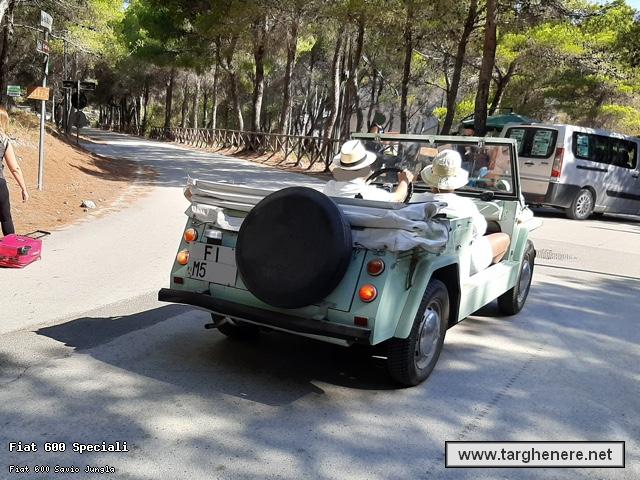 fiat600saviojunglaoinotna20210805.jpg
