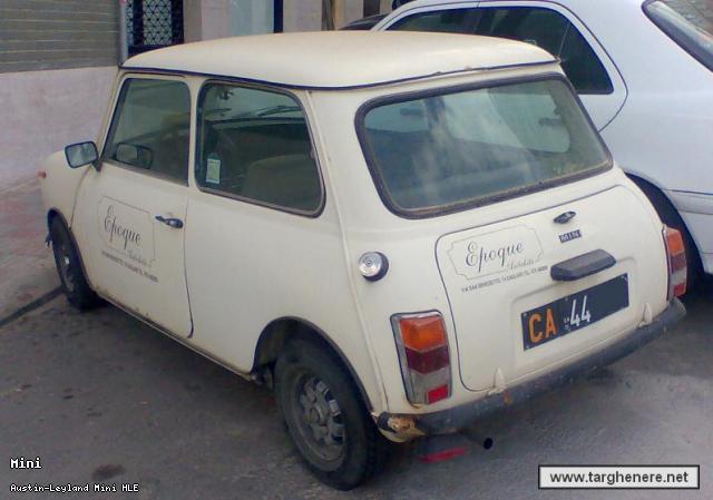 minicatotal.jpg