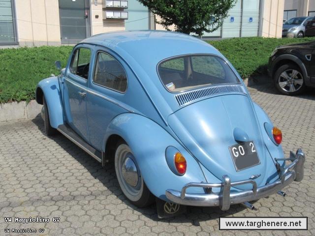 maggiolinoata20210901.jpg