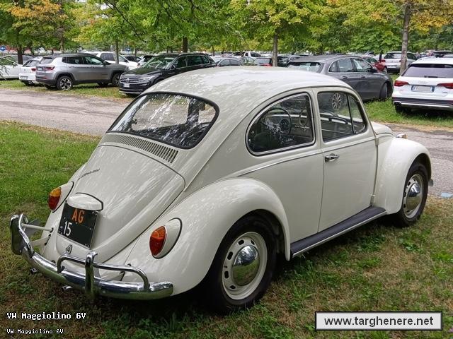 maggiolinoluzzo20211124.jpg