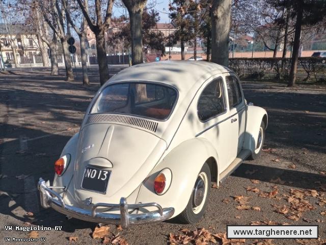 maggiolinoalfa3320220305.jpg