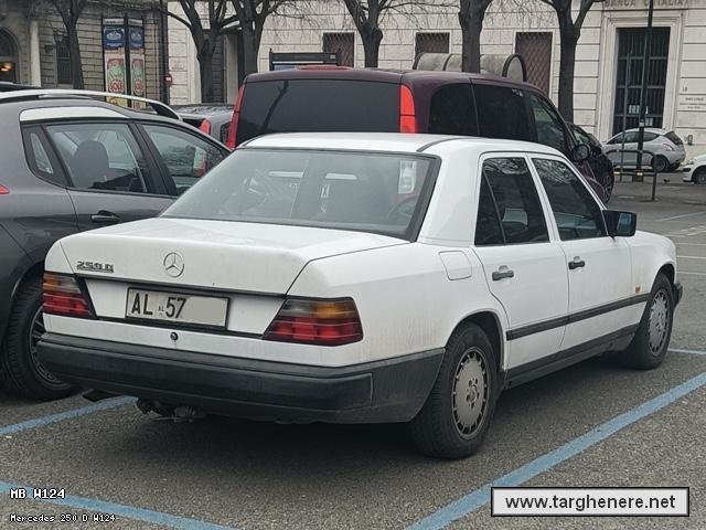 mercedesw124luzzo20220318.jpg