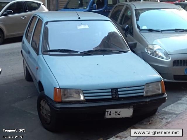 peugeot205giovannispalla20220405.jpg
