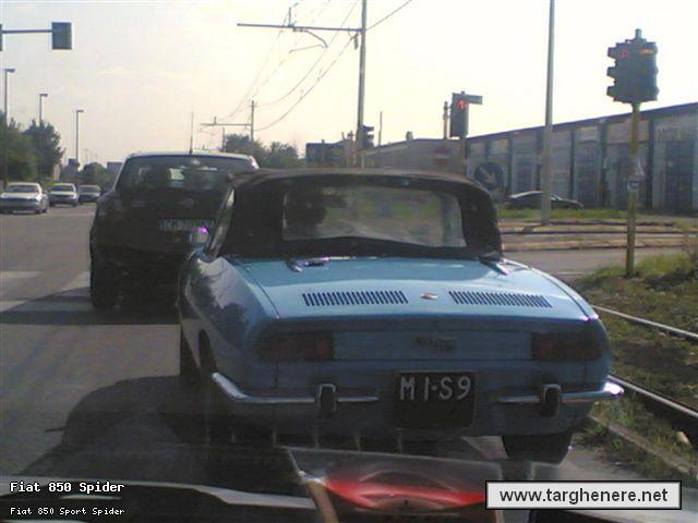850spidermassi73.jpg