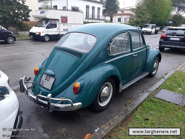 maggiolinooinotna20220422.jpg