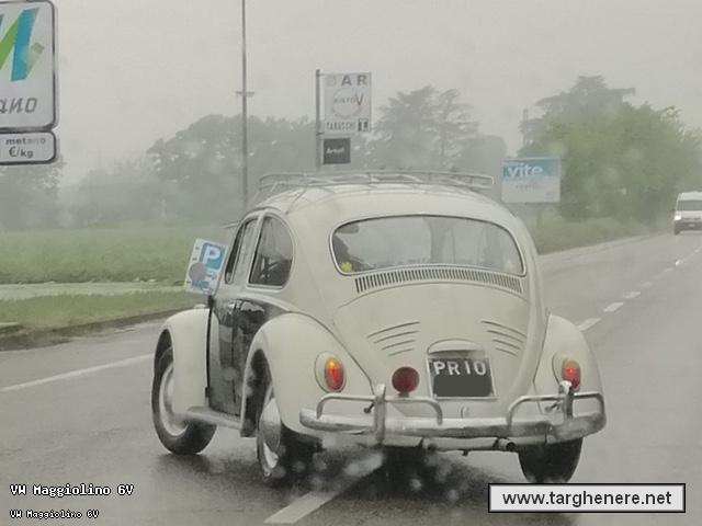 maggiolinoluka9620220519.jpg