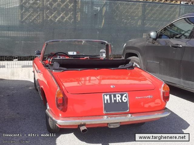 innocentispiderdariomontrone20220531.jpg