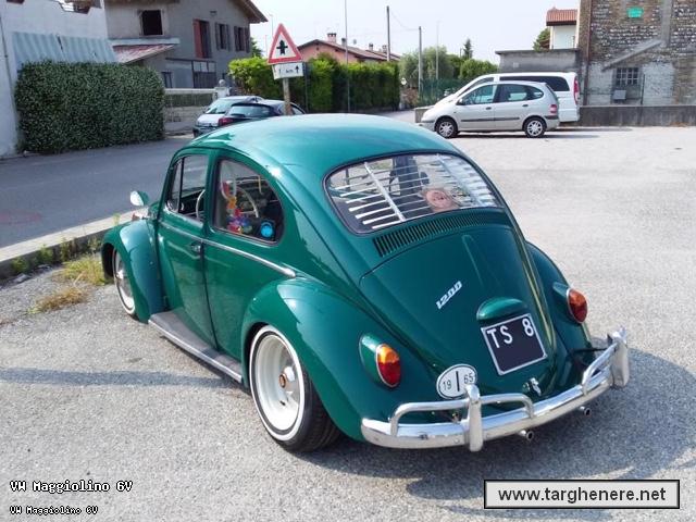 maggiolinodeltago20220604.jpg