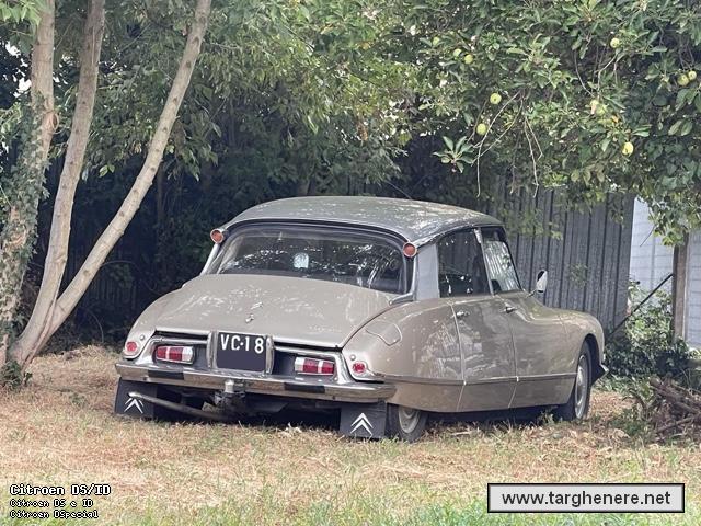 citroendsseba20220823.jpg
