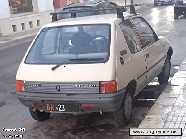 peugeot205giovannispalla20220830.jpg