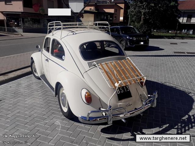 maggiolinodanip20221019.jpg