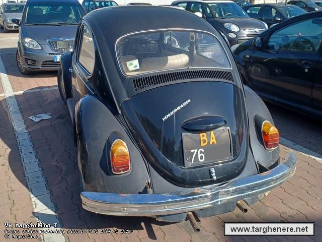 maggiolinodariomontrone20221113.jpg