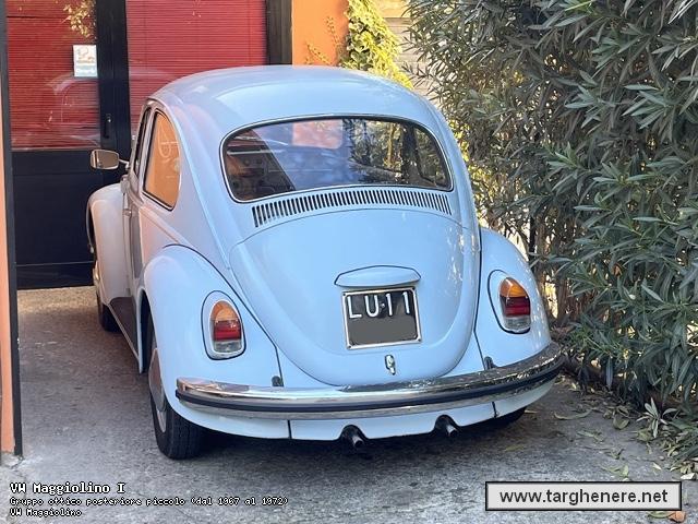 maggiolinofrabo20221114.jpg