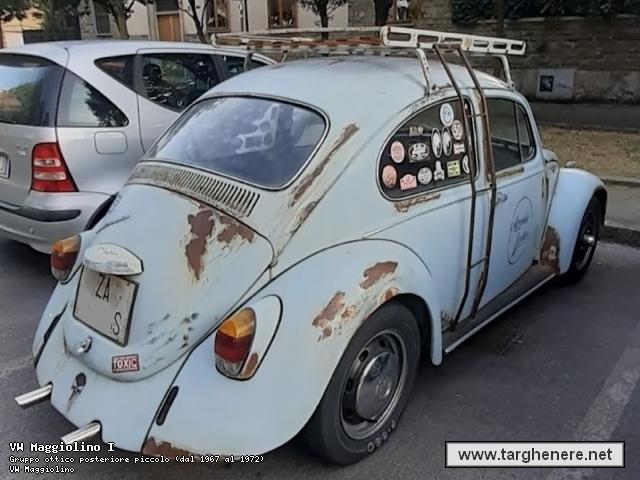maggiolinoalpiman20221126.jpg