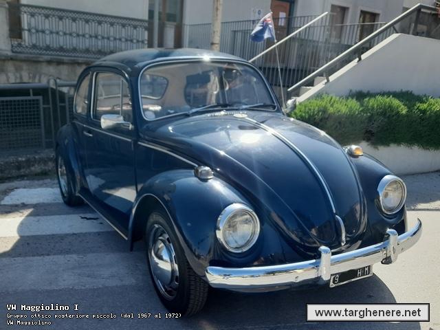 maggiolinotonymura20221204.jpg