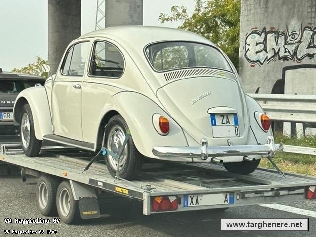 maggiolinofrabo20221205.jpg